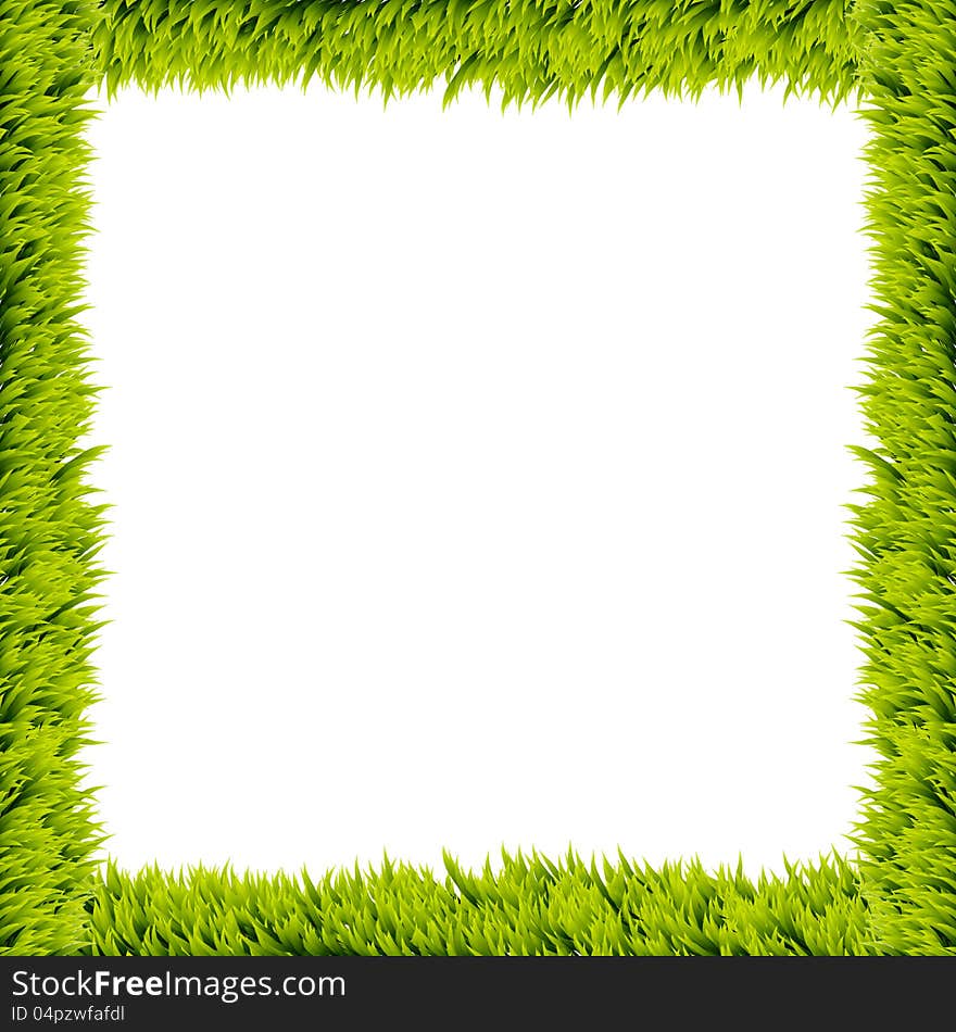 Fresh green grass frame on white background.