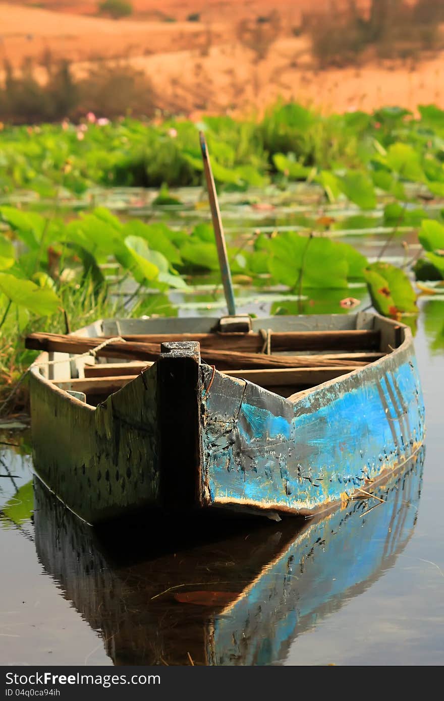 Photo of lotus lake with a boat