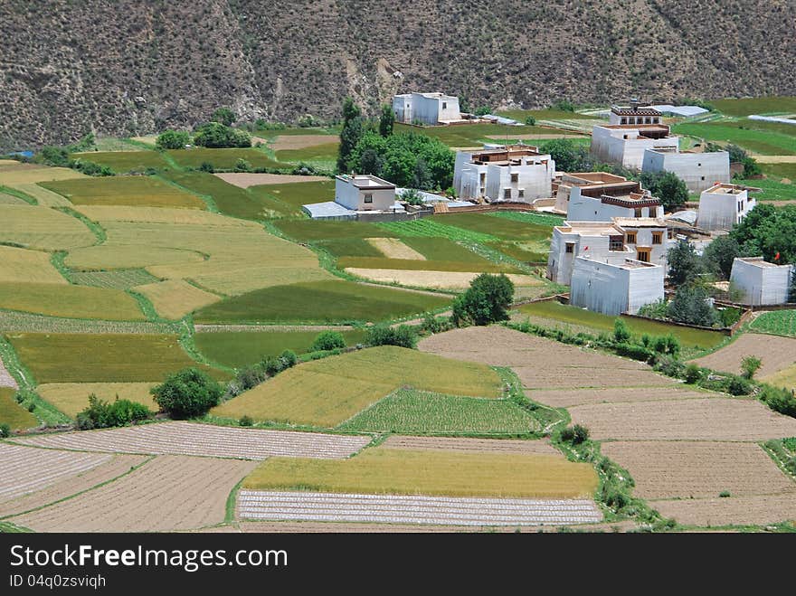 Farmland and village in Kang area or East Tibet,which belongs to China's Sichuan'province. Farmland and village in Kang area or East Tibet,which belongs to China's Sichuan'province.