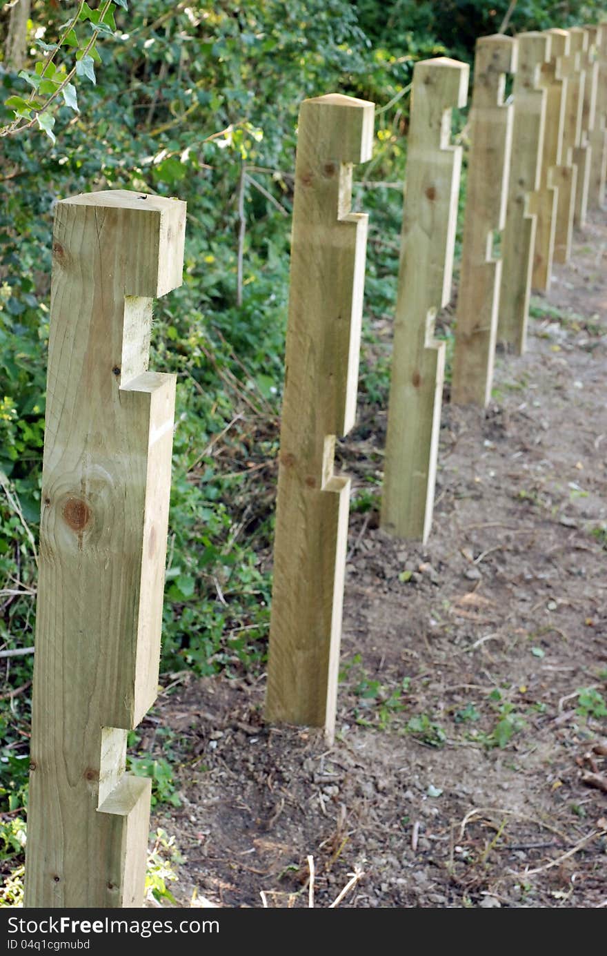 Fence posts in a row.