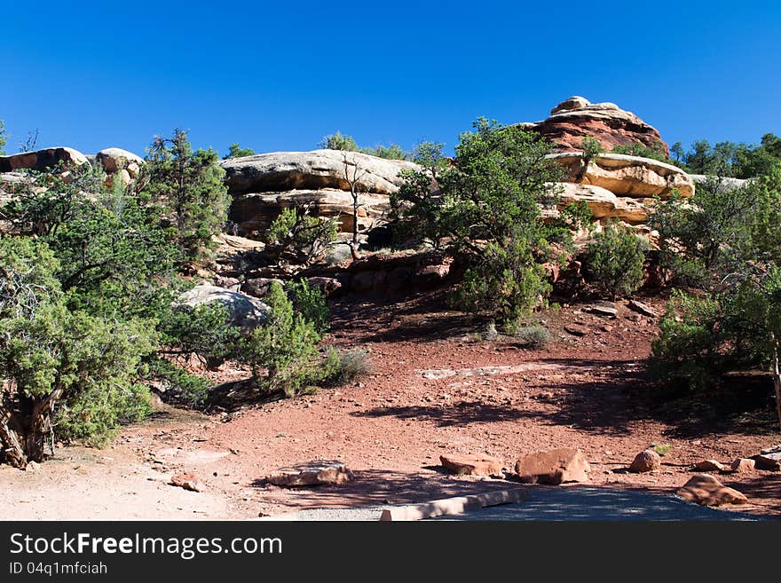 Canyonlands the needles