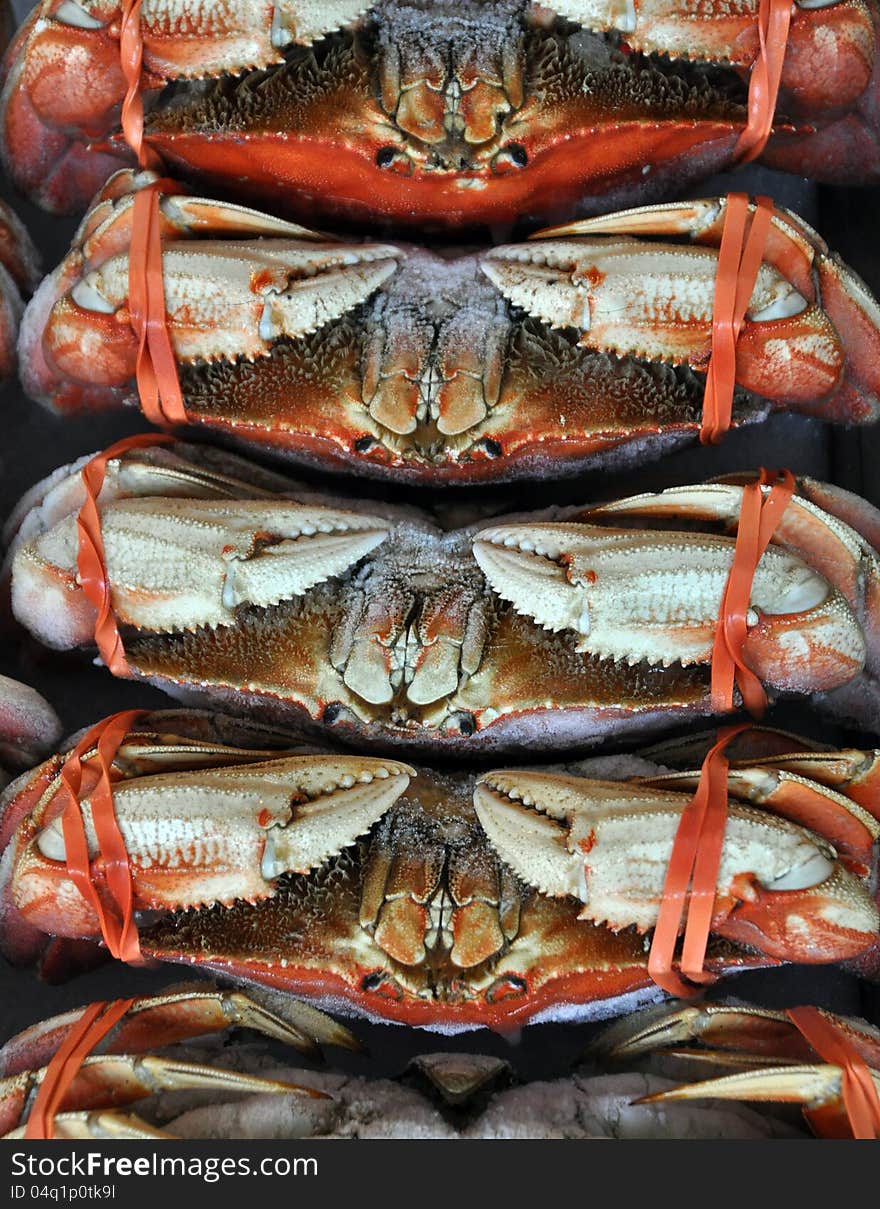 Freshly caught crab on display at market. Freshly caught crab on display at market