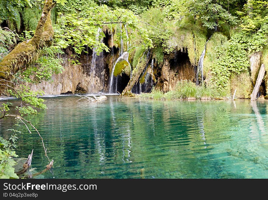 Wile nature - Plitvice lakes, National UNESCO park, Croatia, Europe. Wile nature - Plitvice lakes, National UNESCO park, Croatia, Europe.