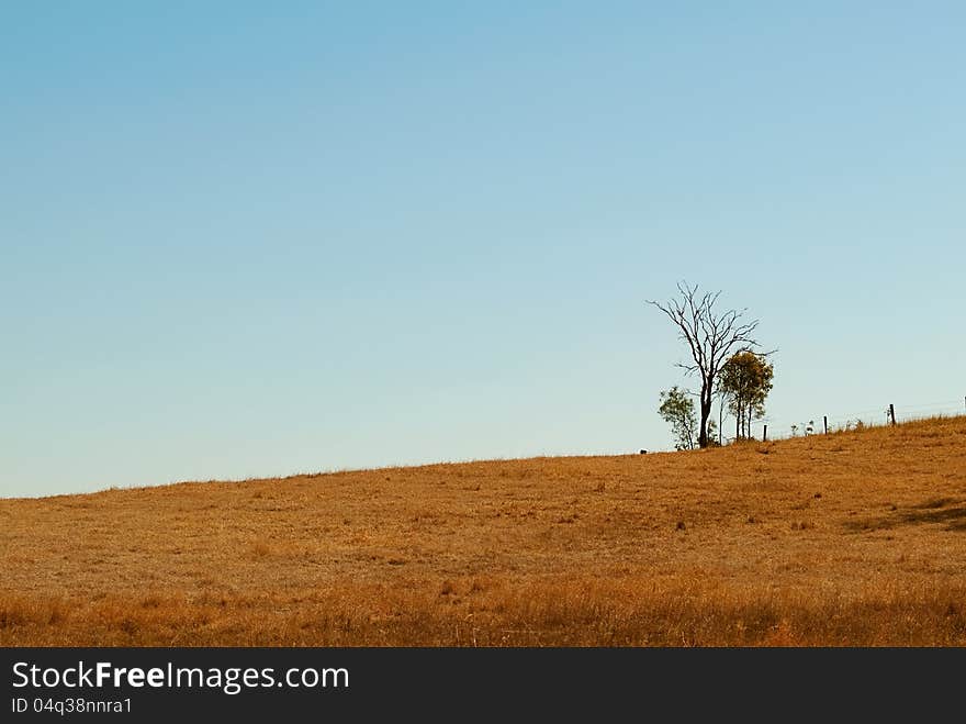 Australian Undulating Outback Winter Horizon