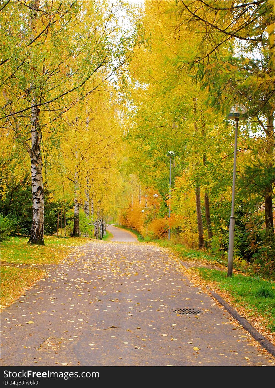 Alley dressed in autumn colors, at day time