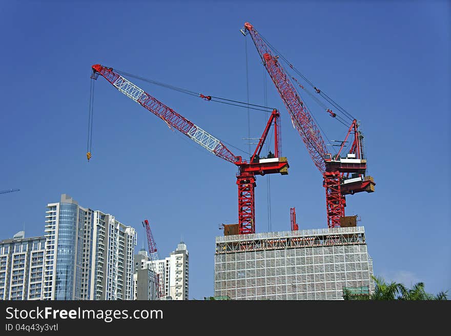 Cranes over blue sky