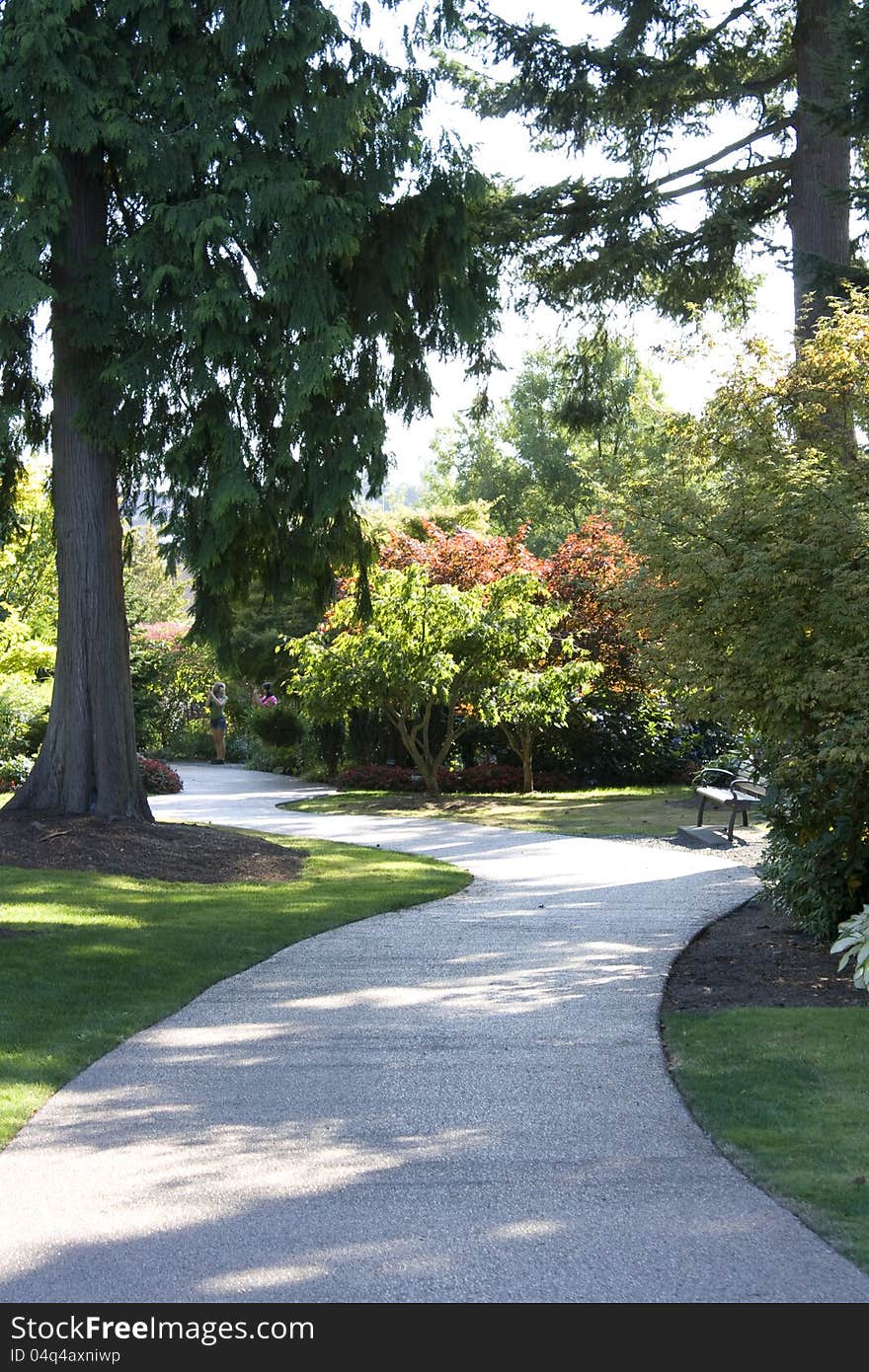 A beautiful garden path with nice lawn.