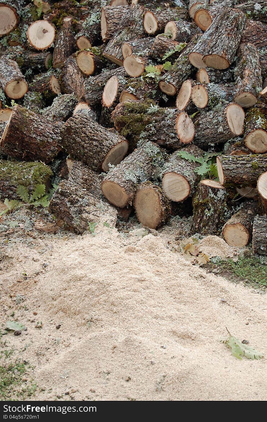 Picture of a Fresh cutted firewood