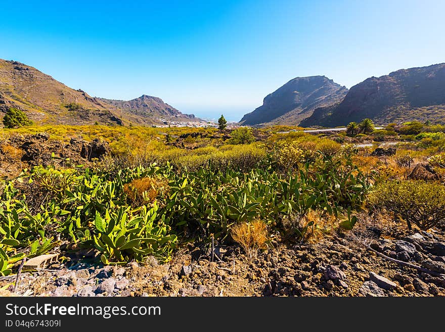 Tenerife landscape in a valley