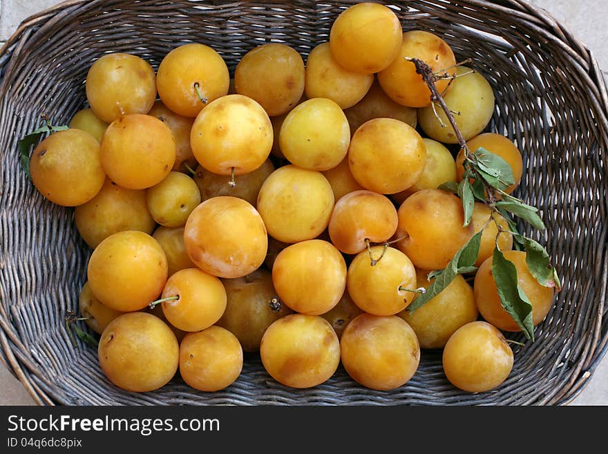 Basket with  yellow ripe plums