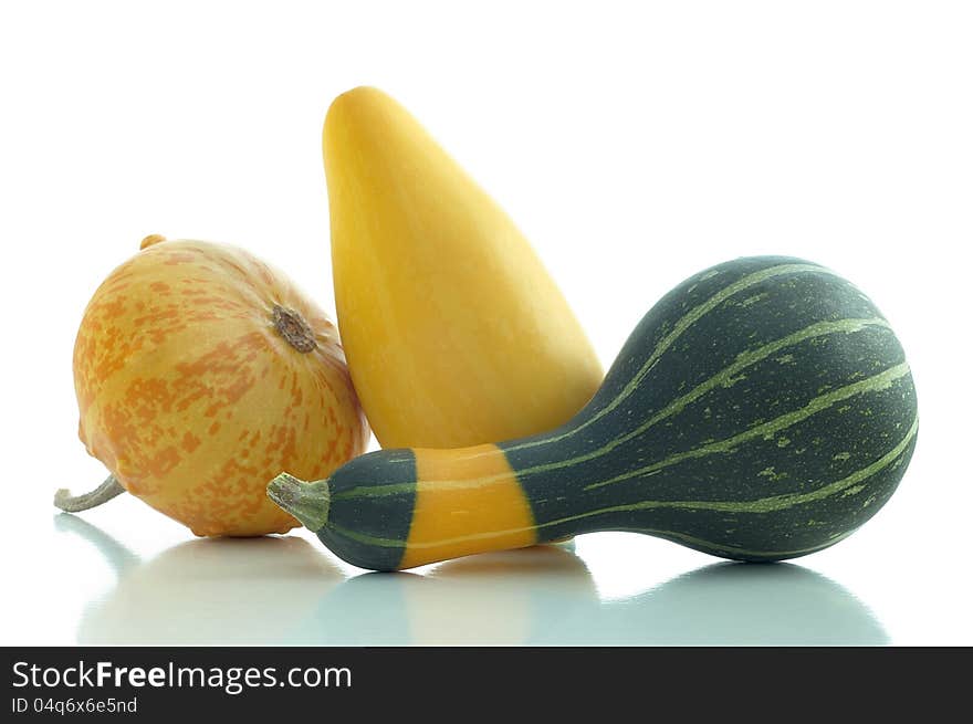 A group of different types of pumpkins on a white background