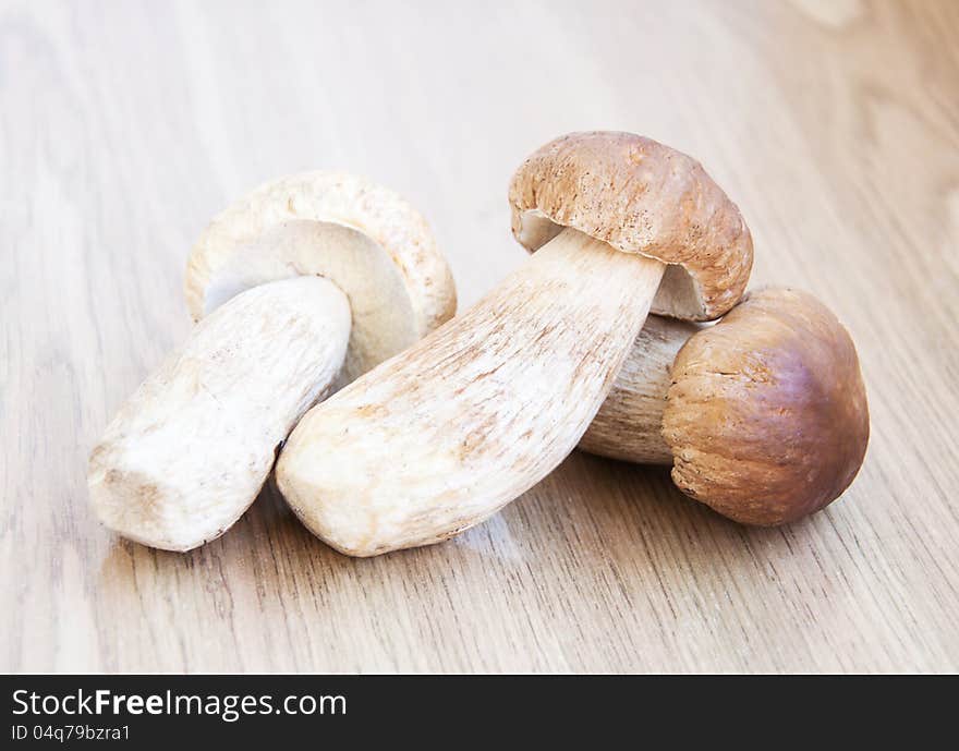 Forest mushrooms