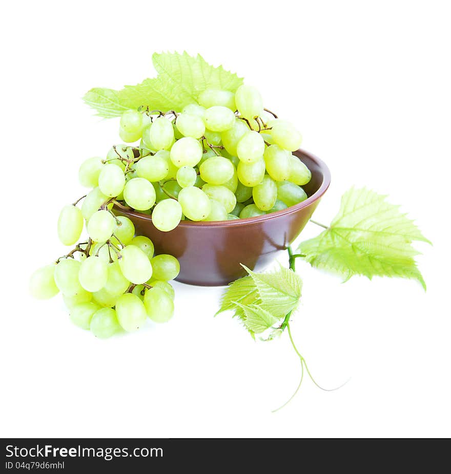 Grape Cluster