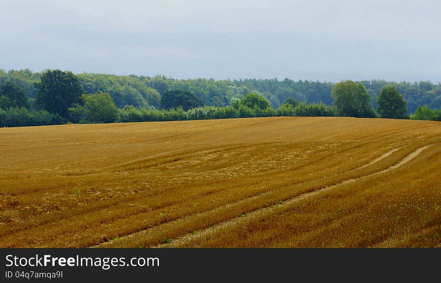 Harvested farmland in autumn in the country. Harvested farmland in autumn in the country
