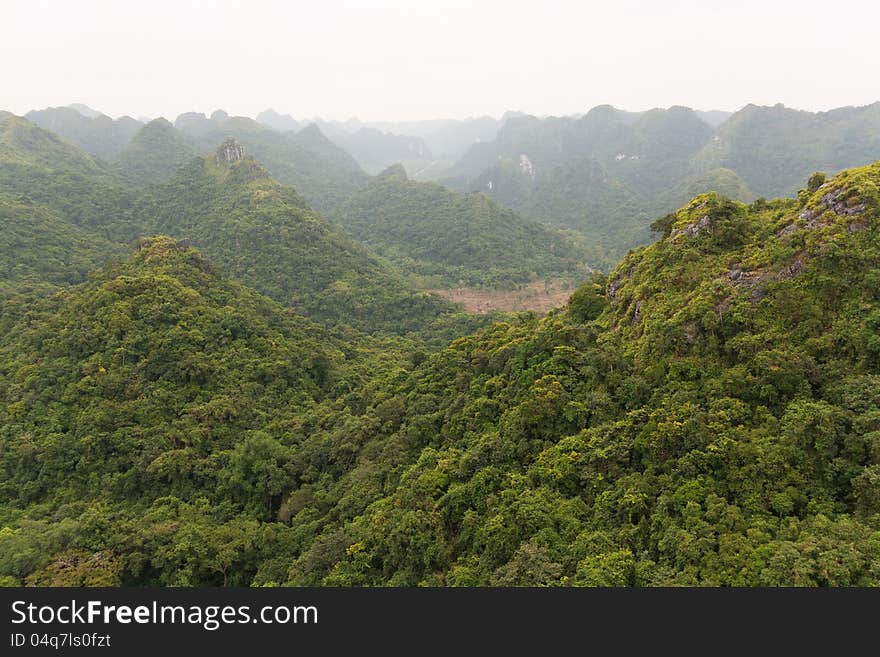 Amazing view of a lush and green forest from a vantage point at the Cat Ba National Park in Vietnam. Amazing view of a lush and green forest from a vantage point at the Cat Ba National Park in Vietnam.