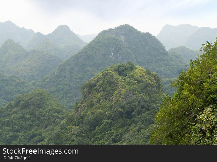 Nice view over lush and green forest and hills from a vantage point at the Cat Ba National Park in Vietnam. Nice view over lush and green forest and hills from a vantage point at the Cat Ba National Park in Vietnam.