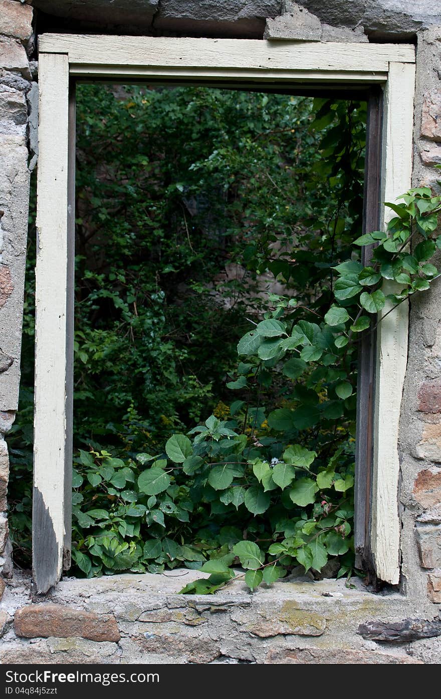 Old Abandoned House