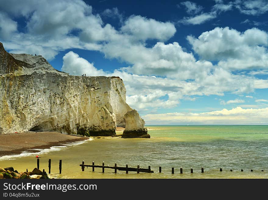 Cliff coast in summer