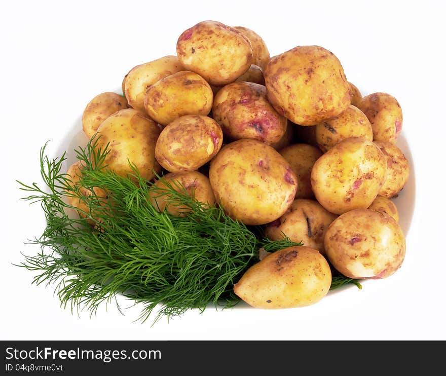 Potatoes in plate on a white background