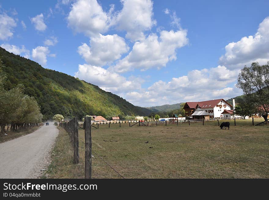 Summer landscape