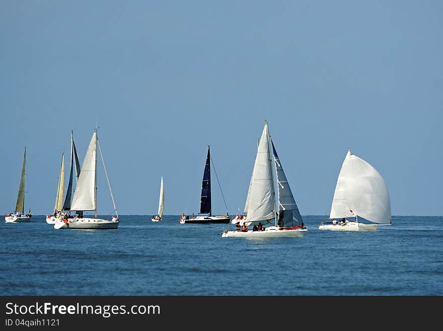 Start of a sailing regatta. The sailing yachts compete in speed.