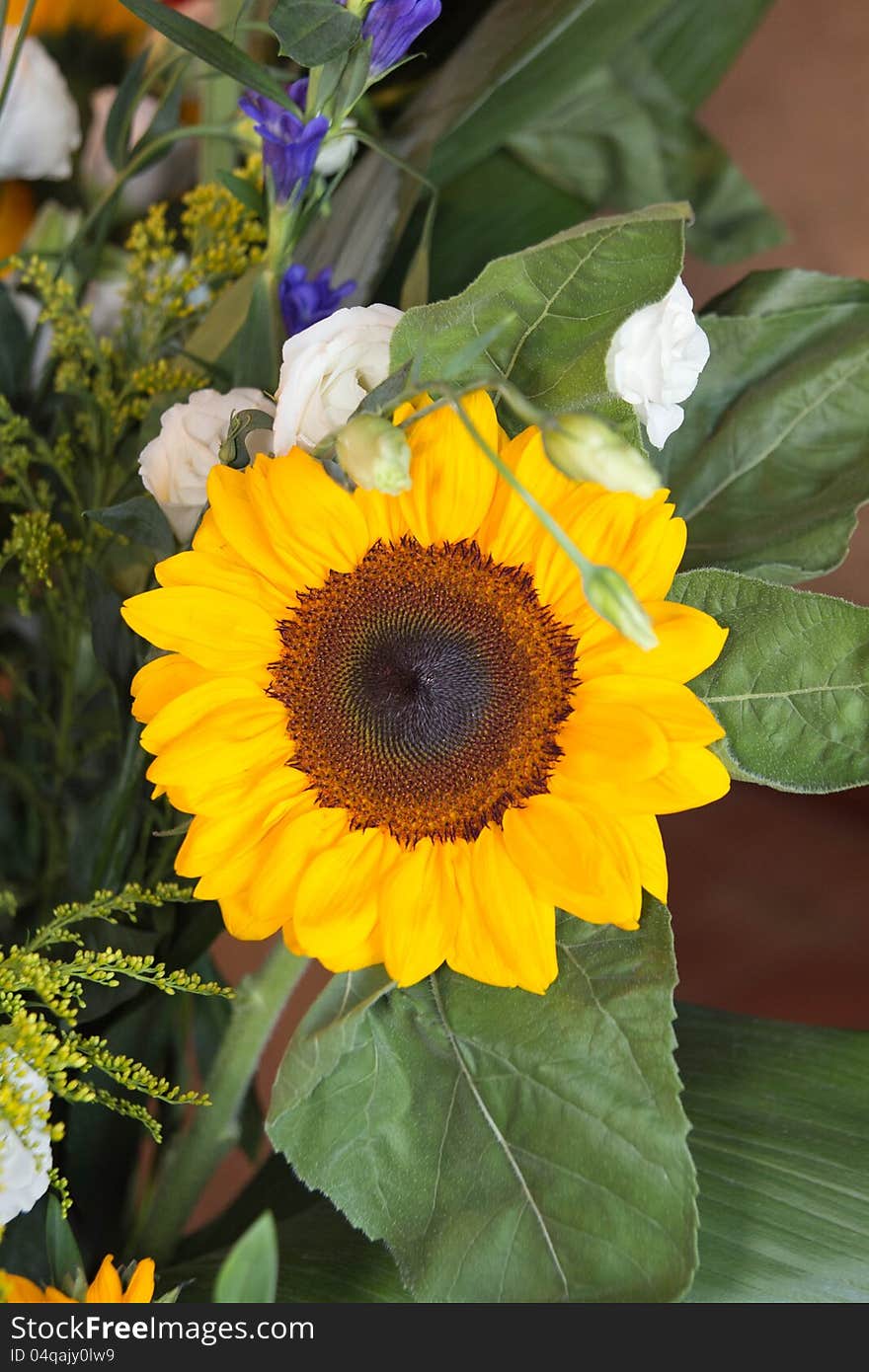 A detail of a sunflower