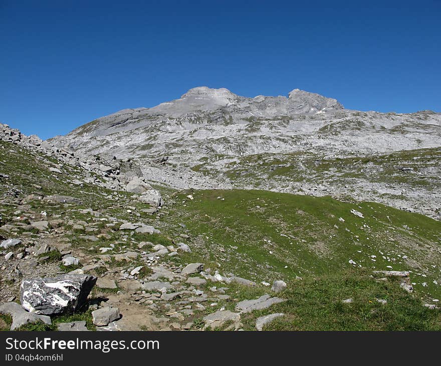 Wild Landscape