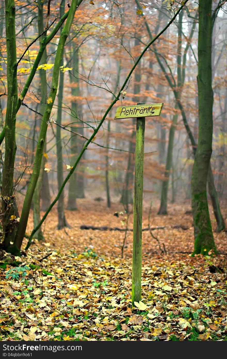 The sign of the roedeer watering place in the forest