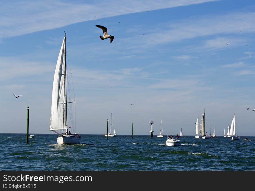 The end of regatta, Atlantic ocean, France