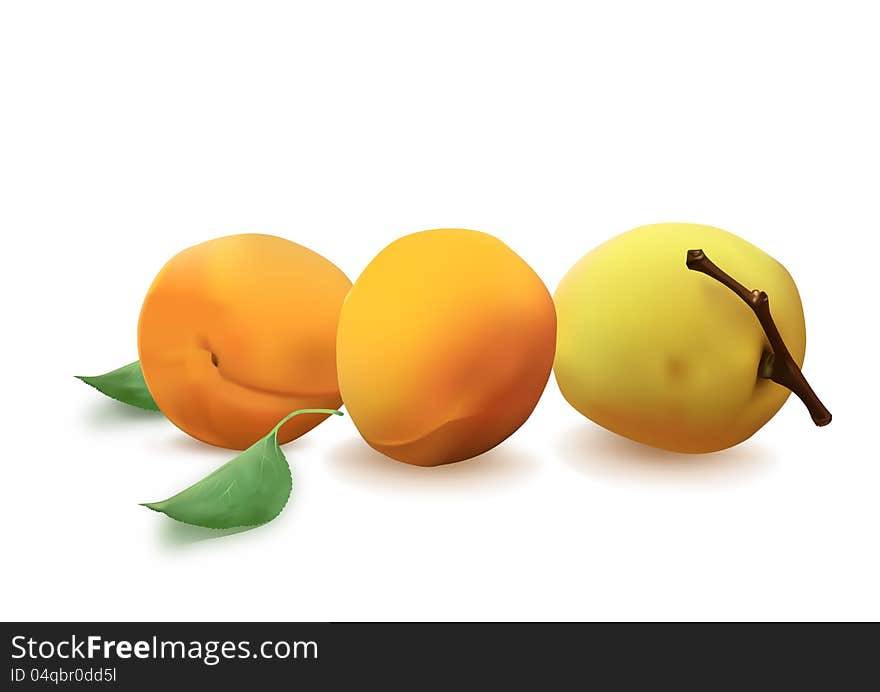 Three little apricots and nutrition