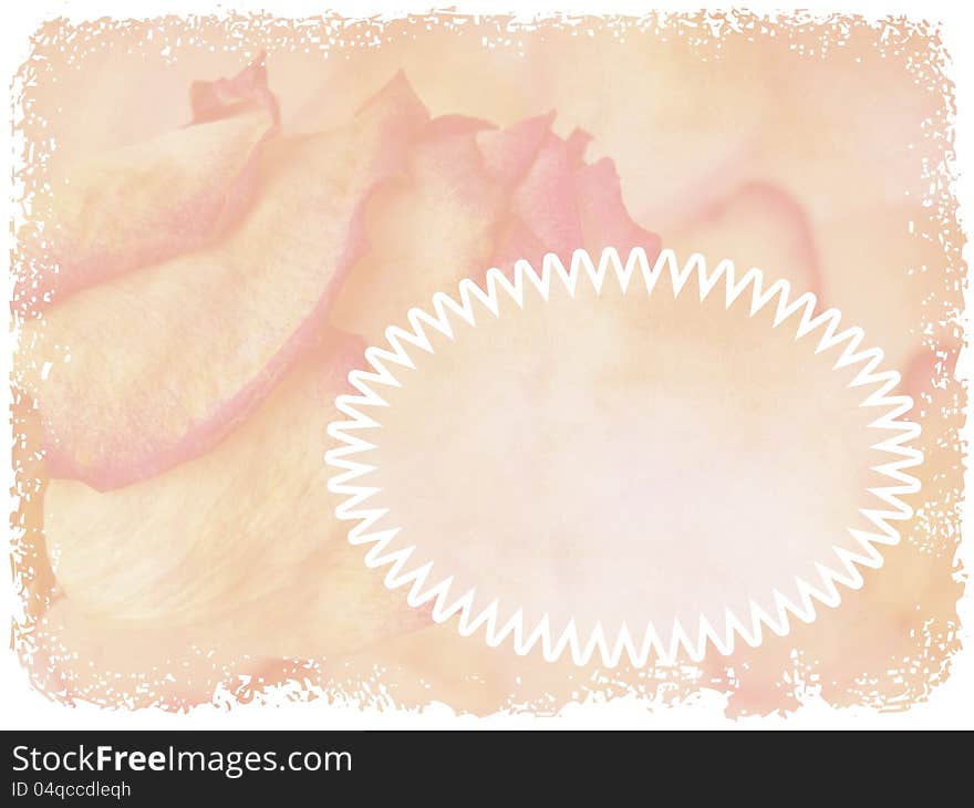 Delicate rose on grunge background