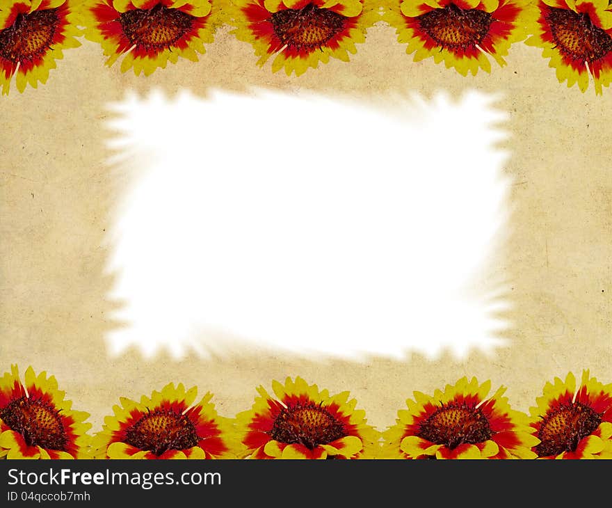 Flowers frame on grunge background