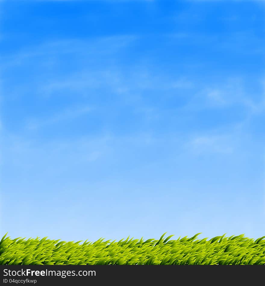 Green grass and blue sky