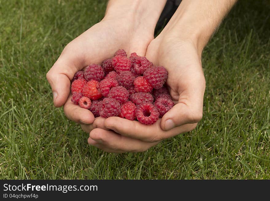 Raspberry in hands