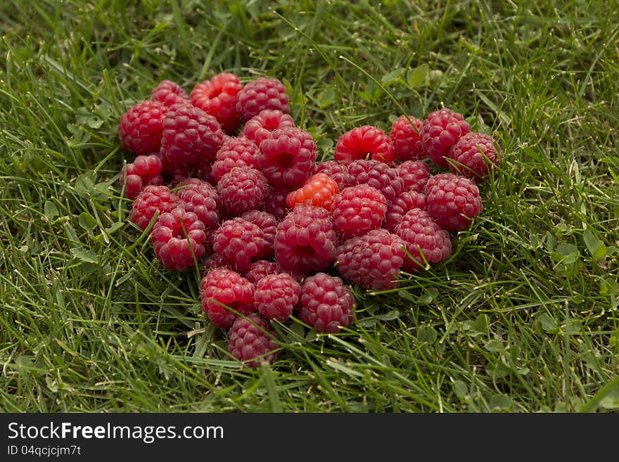 Heart of raspberries on the grass