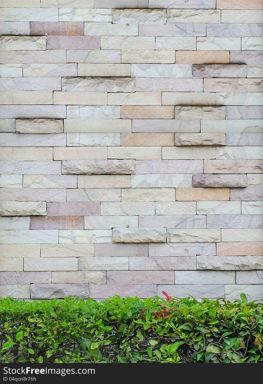 Wall rock with beautiful green leaves background