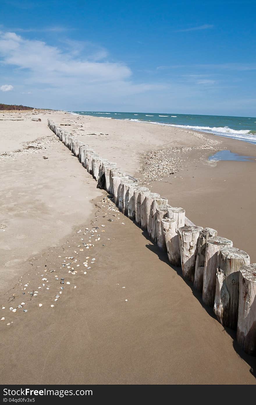 Mouth of Bevano, ravenna, italy