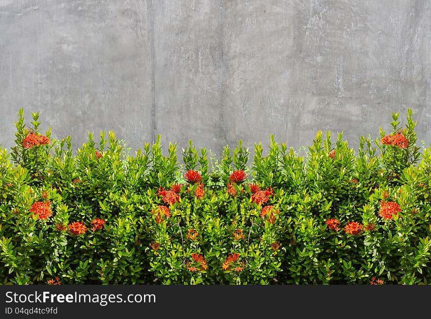 Concrete floorwith white plaster walls