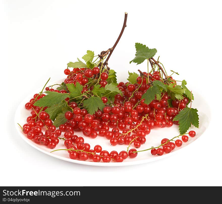 Red currant.