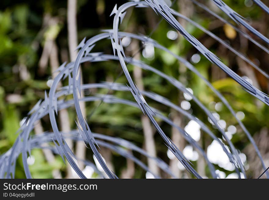 Close-up of a strand of razor wire with a shallow depth of field.