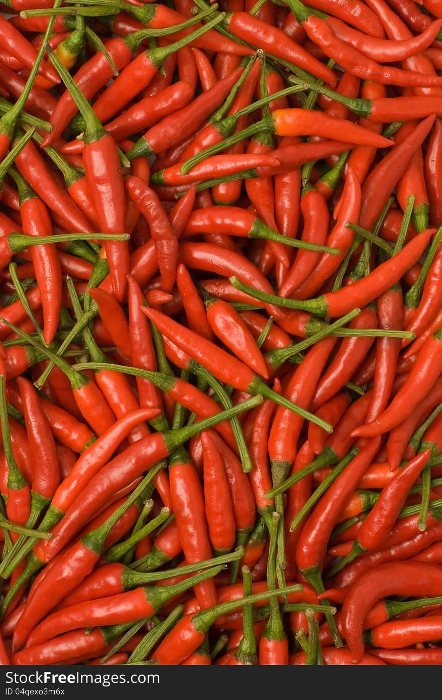 Chilli Pepper