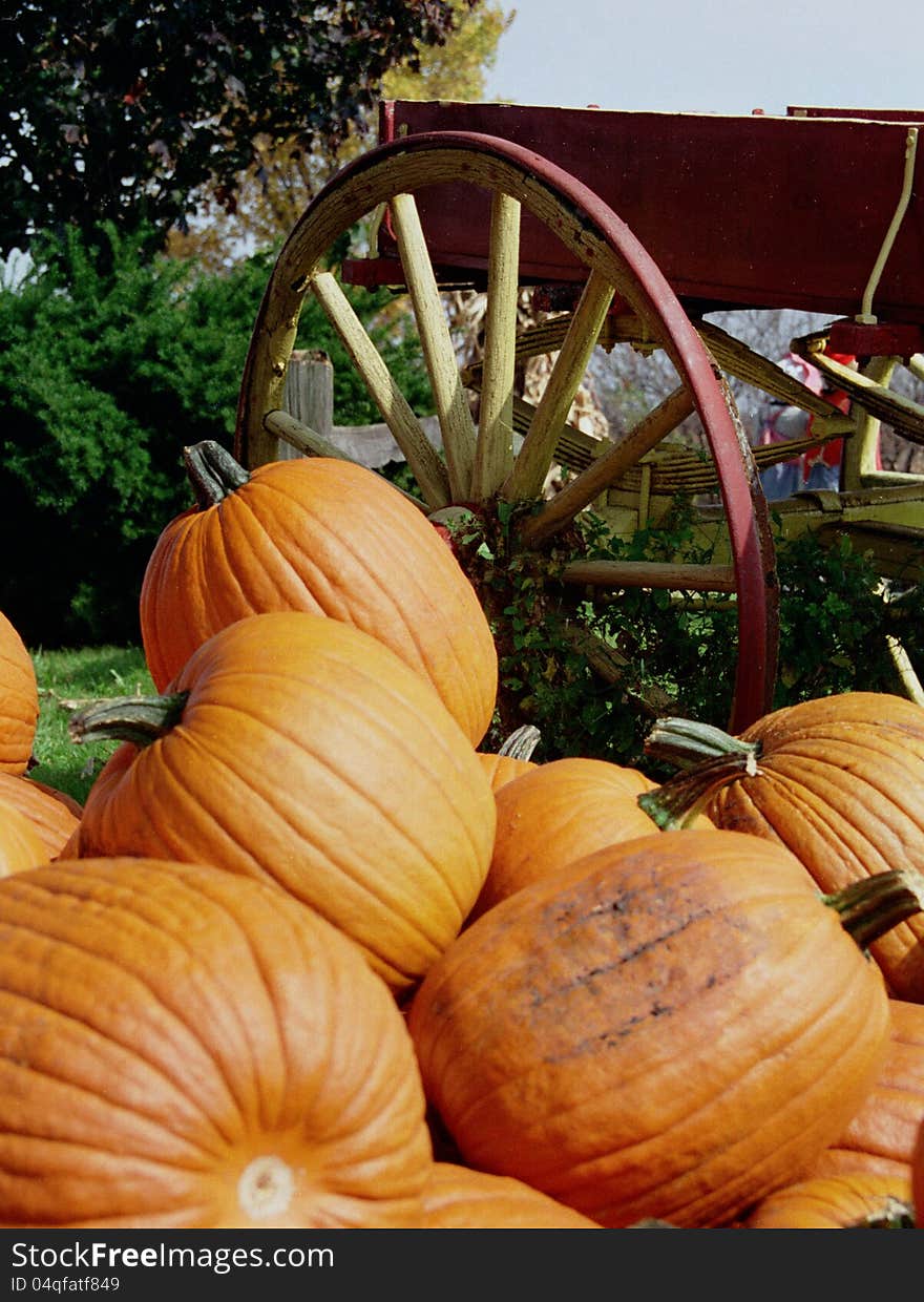 Pumpkins Piled by Wagon Wheel