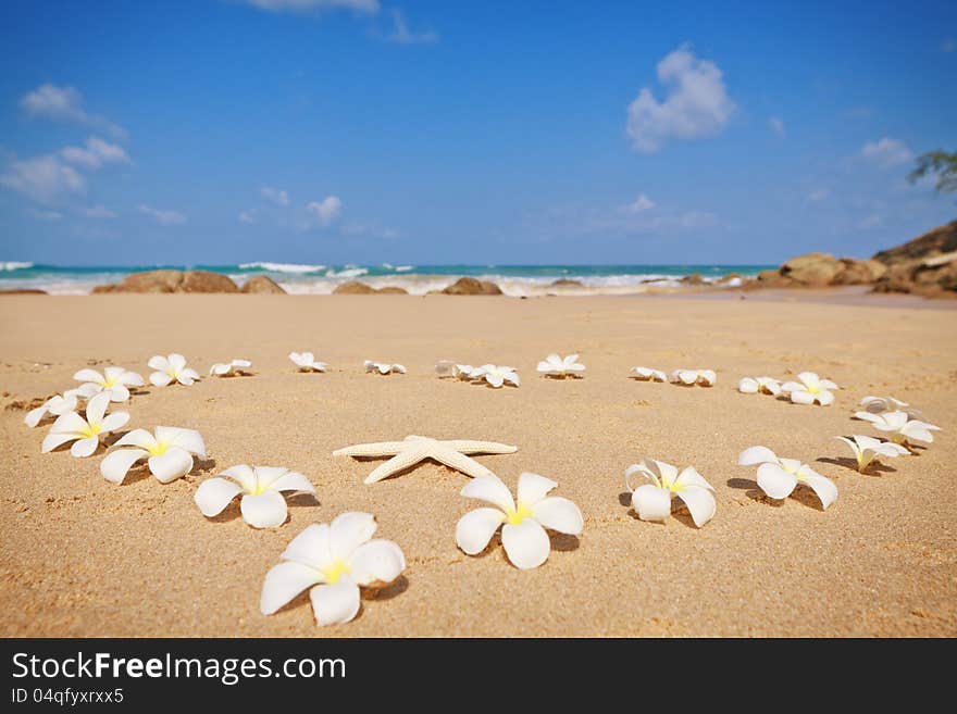 Heart of white frangipani flowers on a sandy beach. Heart of white frangipani flowers on a sandy beach.