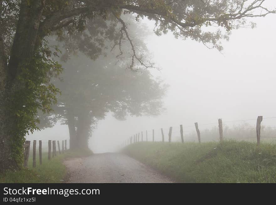 Fog hovers around a country lane.