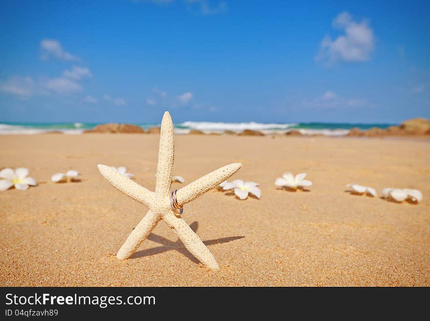 Starfish and wedding rings, white frangipani flowers on the sandy seashore. Starfish and wedding rings, white frangipani flowers on the sandy seashore.