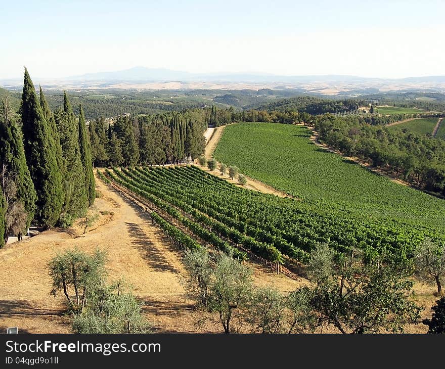 Typical Italian Landscape