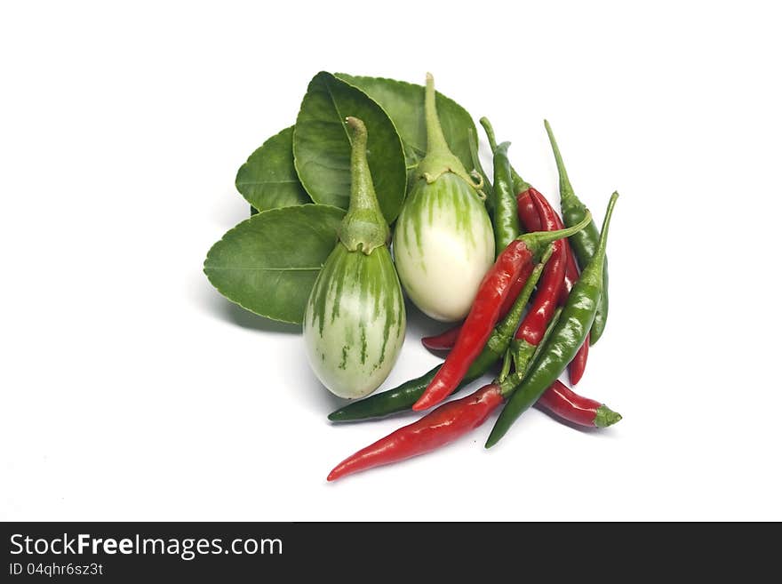 Vegetables and ingredient on white background