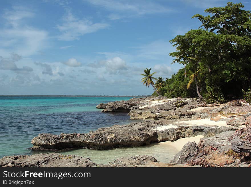 Small Stone Saona Island Dominican Republic