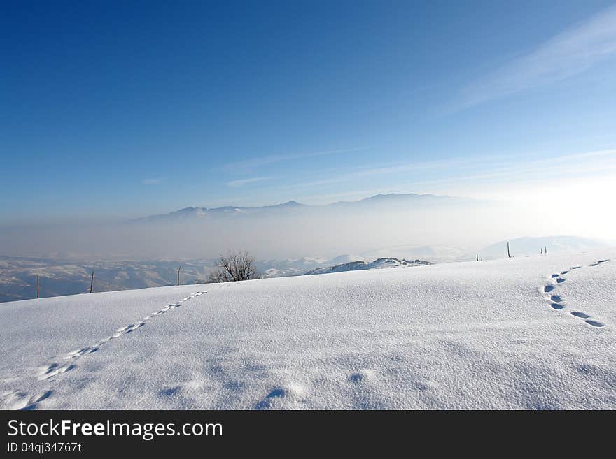 Mountain horizon