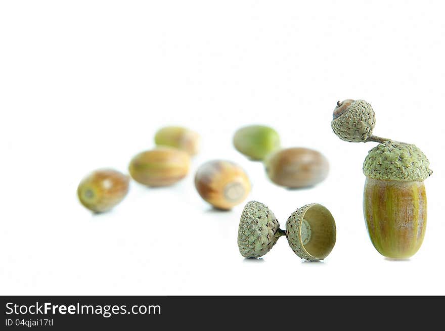 Acorns